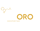 CORAZON DE ORO LOGO